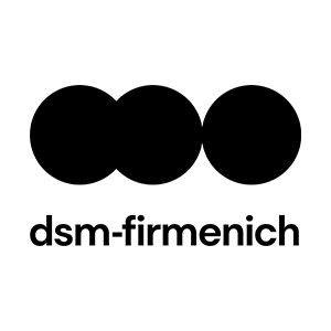 30 - dsm